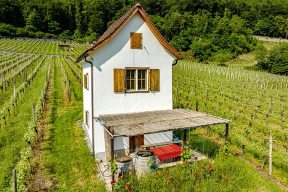 steinersteg-04.jpg  